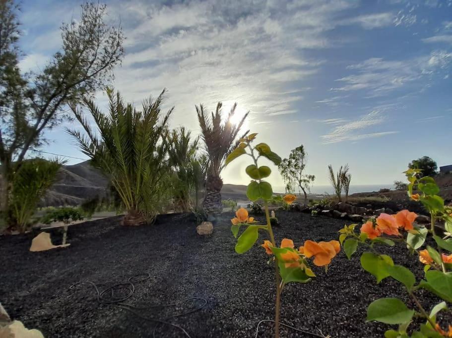 Casagrande Sunset II - Fuerteventura - Costa Calma Pájara Exterior foto